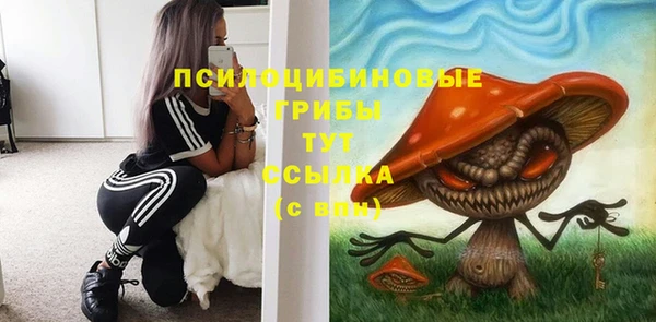 не бодяженный Аркадак